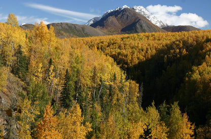 Alaska: The Last Frontier Package - ExistTravels
